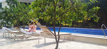 Tam Coc Eco Field Homes