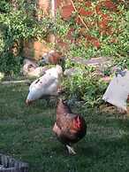 La Maison d'Hôtes D'une Autre Nature