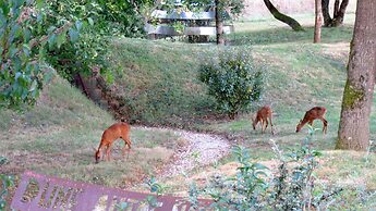 La Maison d'Hôtes D'une Autre Nature
