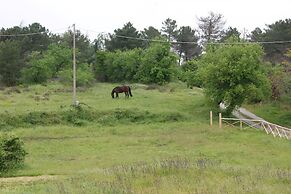 Agriturismo Sinciano