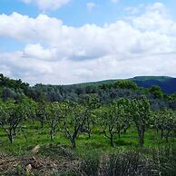 Agriturismo Sinciano