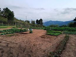 Agriturismo Sinciano