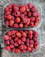 Agriturismo Sinciano