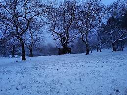 Agriturismo Sinciano