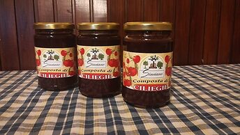 Agriturismo Sinciano