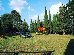 Agriturismo Sinciano