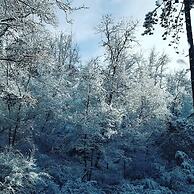 Agriturismo Sinciano