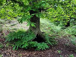 Agriturismo Sinciano