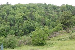 Agriturismo Sinciano