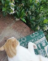 Agriturismo Sinciano