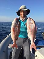 Elimo Affittacamere di Scardino Leonardo