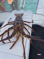 Catamaran en Kuna Yala