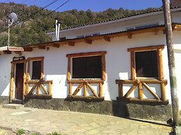 Abedules de los Andes