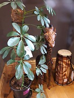 Simpsons Cottage - Grove Road Cottages