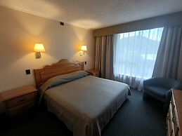 Apart Enjoy Pucon