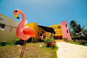 Flamingos Inn