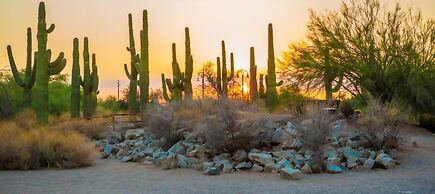Holiday Inn Express & Suites Phoenix East - Gilbert by IHG