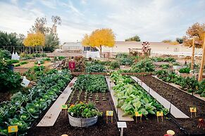Holiday Inn Express & Suites Phoenix East - Gilbert by IHG