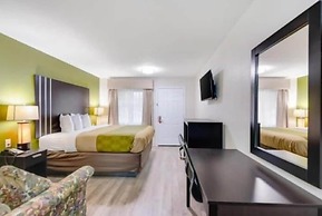 Super 8 by Wyndham Palestine