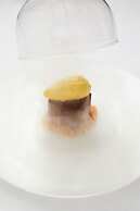 Logis Auberge du Cheval Blanc