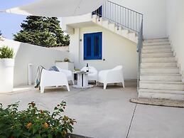 Spuma di Mare - Delfino