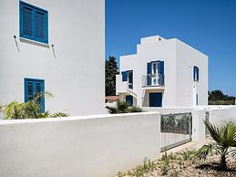 Spuma di Mare - Delfino