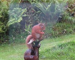 Crinan Canal Cottage