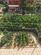 Gold Guest House & Bar