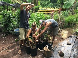 El Zopilote - Hostel