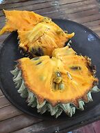 El Zopilote - Hostel