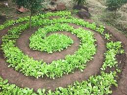 El Zopilote - Hostel