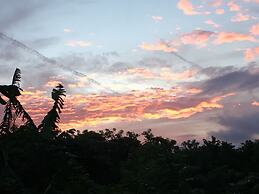 El Zopilote - Hostel