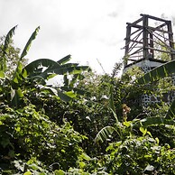 El Zopilote - Hostel