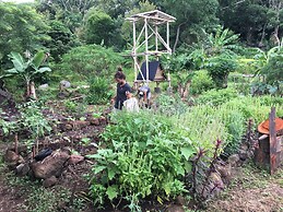 El Zopilote - Hostel