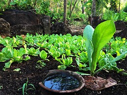 El Zopilote - Hostel