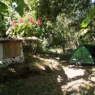 El Zopilote - Hostel