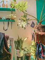 Sijo art and guesthouse