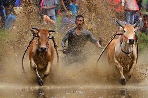 Sijo art and guesthouse