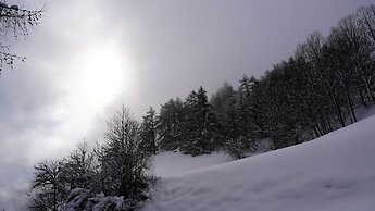 Hotel Alpenrose