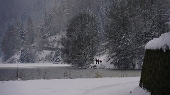 Hotel Alpenrose