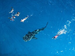 South Ari Dive Center