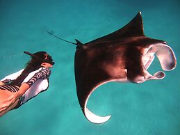 South Ari Dive Center