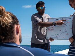 South Ari Dive Center