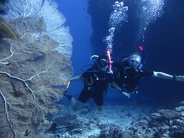 South Ari Dive Center