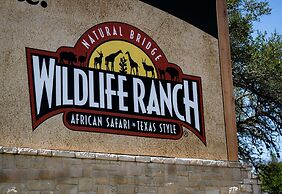 Staybridge Suites San Antonio - Schertz  by IHG