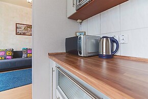 Moskovskiy Prospect View Apartment