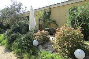 Cavalli di S'Arcaite