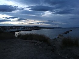 Cavalli di S'Arcaite