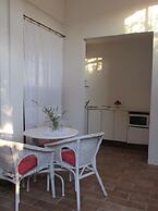 Cavalli di S'Arcaite