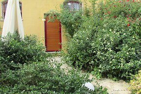 Cavalli di S'Arcaite